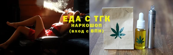 СК Ельня