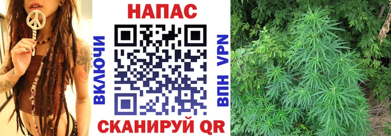 Конопля VHQ  дарнет шоп  Белоусово 
